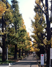 慶応大学日吉校舎入口
